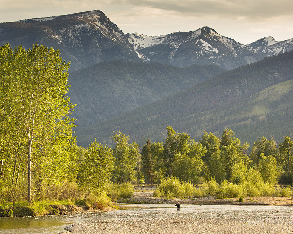 Angler fly fishing the Bitterroot River near Corvallis, Montana below the Bitterroot Mountains